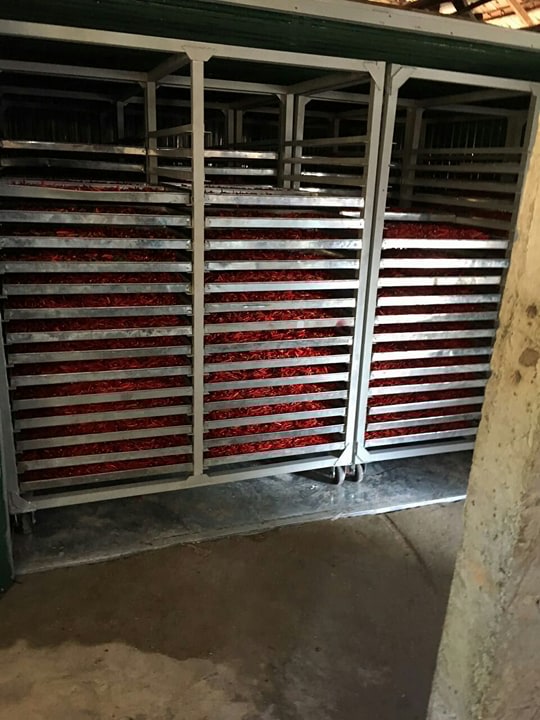 Hầm sấy ớt 2 tấn/ ngày